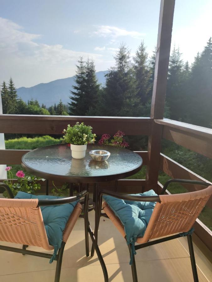 Green Studio Предял Экстерьер фото