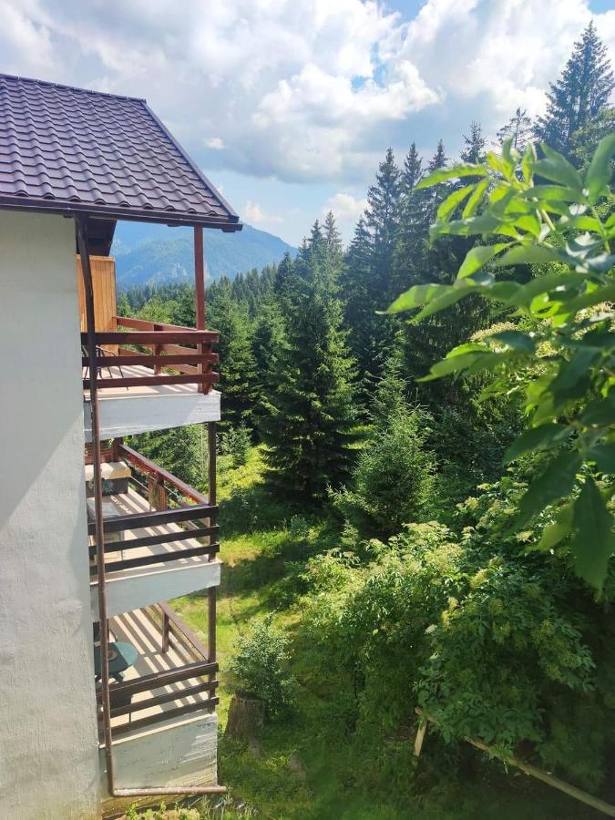 Green Studio Предял Экстерьер фото